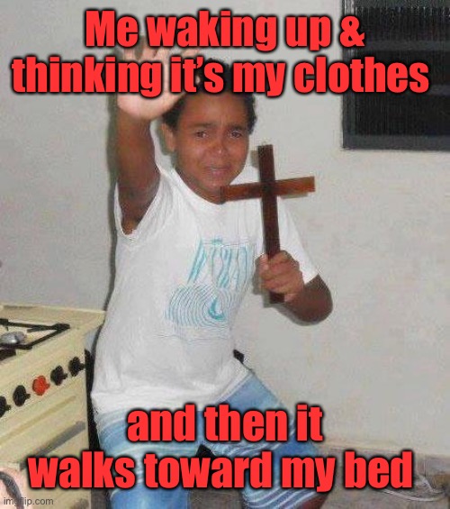 kid with cross | Me waking up & thinking it’s my clothes and then it walks toward my bed | image tagged in kid with cross | made w/ Imgflip meme maker