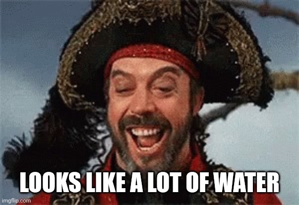 TIM CURRY PIRATE | LOOKS LIKE A LOT OF WATER | image tagged in tim curry pirate | made w/ Imgflip meme maker