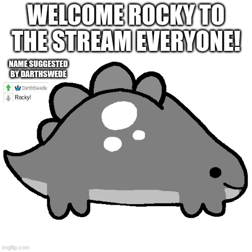 WELCOME ROCKY TO THE STREAM EVERYONE! NAME SUGGESTED BY DARTHSWEDE | image tagged in rocky | made w/ Imgflip meme maker