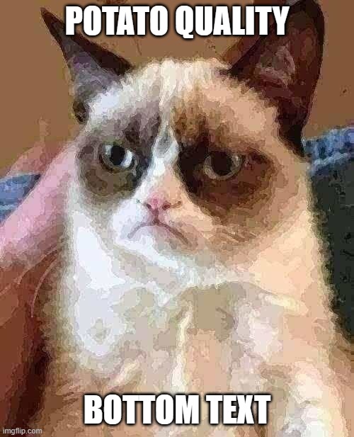 Grumpy Cat Meme | POTATO QUALITY; BOTTOM TEXT | image tagged in memes,grumpy cat | made w/ Imgflip meme maker