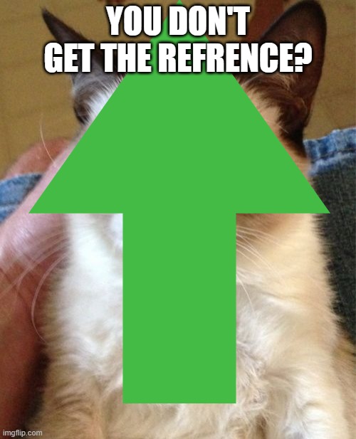 YOU DON'T GET THE REFRENCE? | made w/ Imgflip meme maker