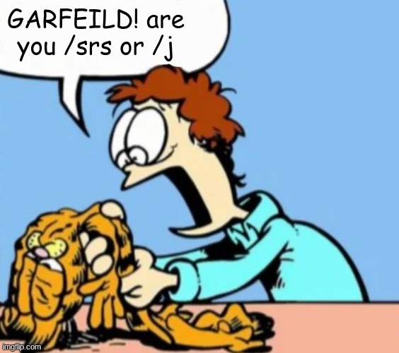 Deflated garfeild | GARFEILD! are you /srs or /j | image tagged in deflated garfeild | made w/ Imgflip meme maker