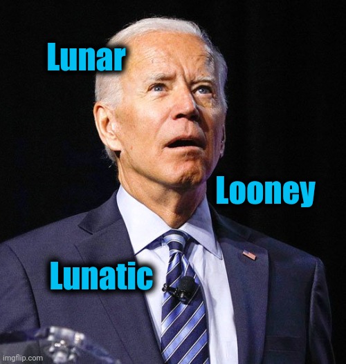 Joe Biden | Lunar Looney Lunatic | image tagged in joe biden | made w/ Imgflip meme maker