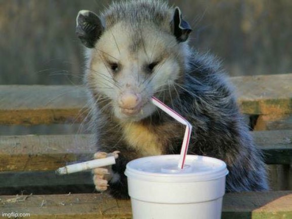 J | image tagged in smoking opossum | made w/ Imgflip meme maker