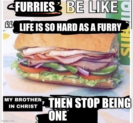 My brother in christ subway | FURRIES; LIFE IS SO HARD AS A FURRY; THEN STOP BEING
ONE | image tagged in my brother in christ subway | made w/ Imgflip meme maker