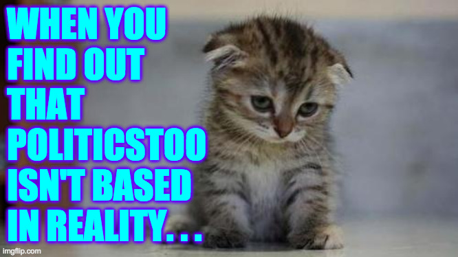 Ouch. | WHEN YOU
FIND OUT
THAT
POLITICSTOO
ISN'T BASED
IN REALITY. . . | image tagged in sad kitten,memes | made w/ Imgflip meme maker