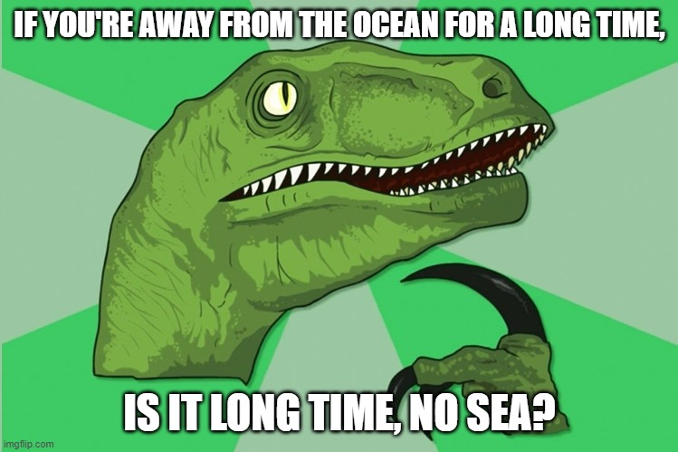 new philosoraptor | IF YOU'RE AWAY FROM THE OCEAN FOR A LONG TIME, IS IT LONG TIME, NO SEA? | image tagged in new philosoraptor | made w/ Imgflip meme maker