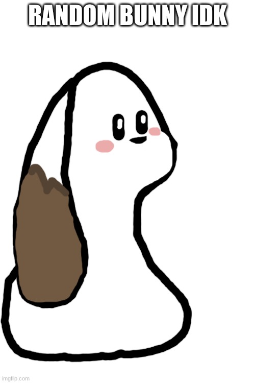 RANDOM BUNNY IDK | made w/ Imgflip meme maker