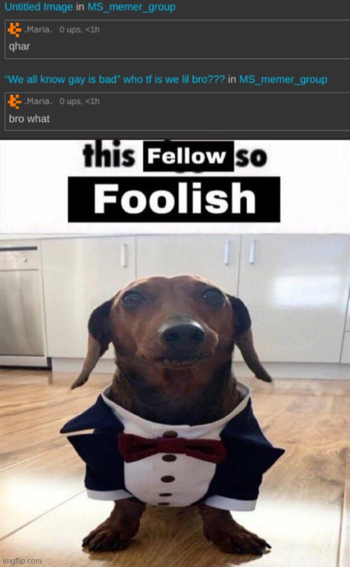 image tagged in this fellow is so foolish | made w/ Imgflip meme maker