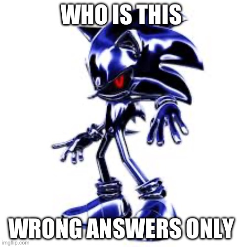 WHO IS THIS; WRONG ANSWERS ONLY | image tagged in sonic the hedgehog | made w/ Imgflip meme maker