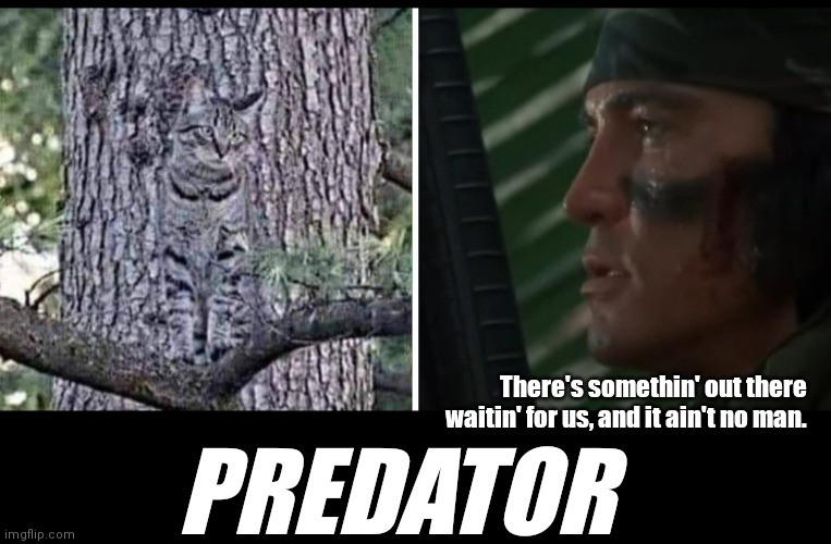 Predator | There's somethin' out there waitin' for us, and it ain't no man. PREDATOR | image tagged in funny | made w/ Imgflip meme maker