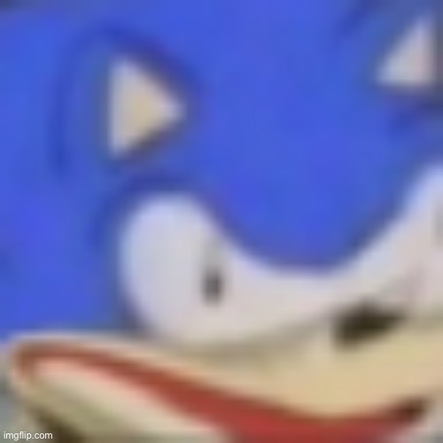 Sonic dies | image tagged in sonic dies | made w/ Imgflip meme maker