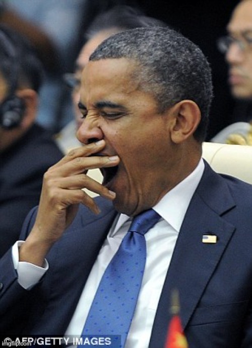 Obama Yawn | image tagged in obama yawn | made w/ Imgflip meme maker