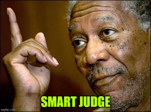This Morgan Freeman | SMART JUDGE | image tagged in this morgan freeman | made w/ Imgflip meme maker