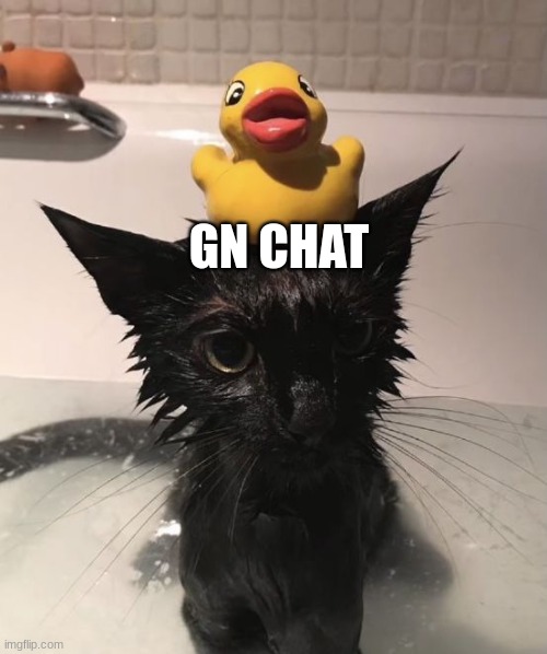 GN CHAT | made w/ Imgflip meme maker