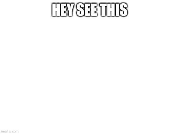 HEY SEE THIS | image tagged in blank white template | made w/ Imgflip meme maker