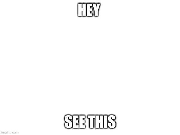 HEY; SEE THIS | image tagged in blank white template | made w/ Imgflip meme maker