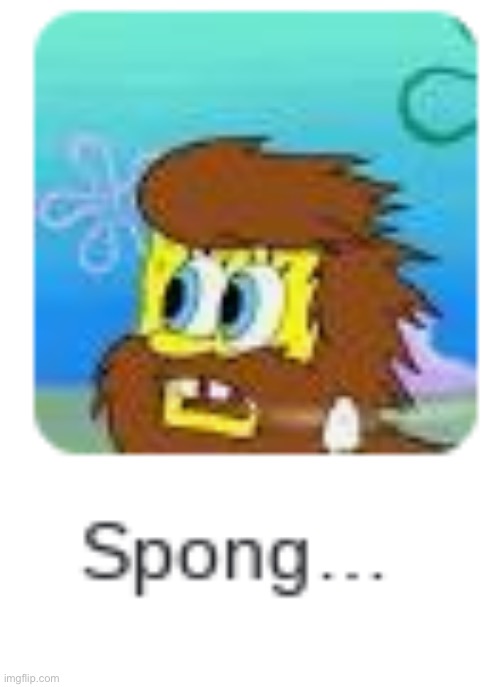 Spong... | image tagged in spong | made w/ Imgflip meme maker