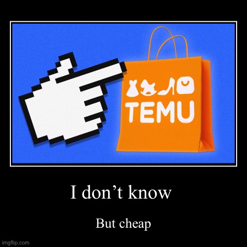 Temu cAn’t Be TRutsed | I don’t know | But cheap | image tagged in funny,demotivationals,memes,funny memes,lol | made w/ Imgflip demotivational maker