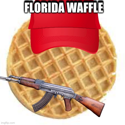 Waffle | FLORIDA WAFFLE; FLORIDA WAFFLE | image tagged in waffle | made w/ Imgflip meme maker