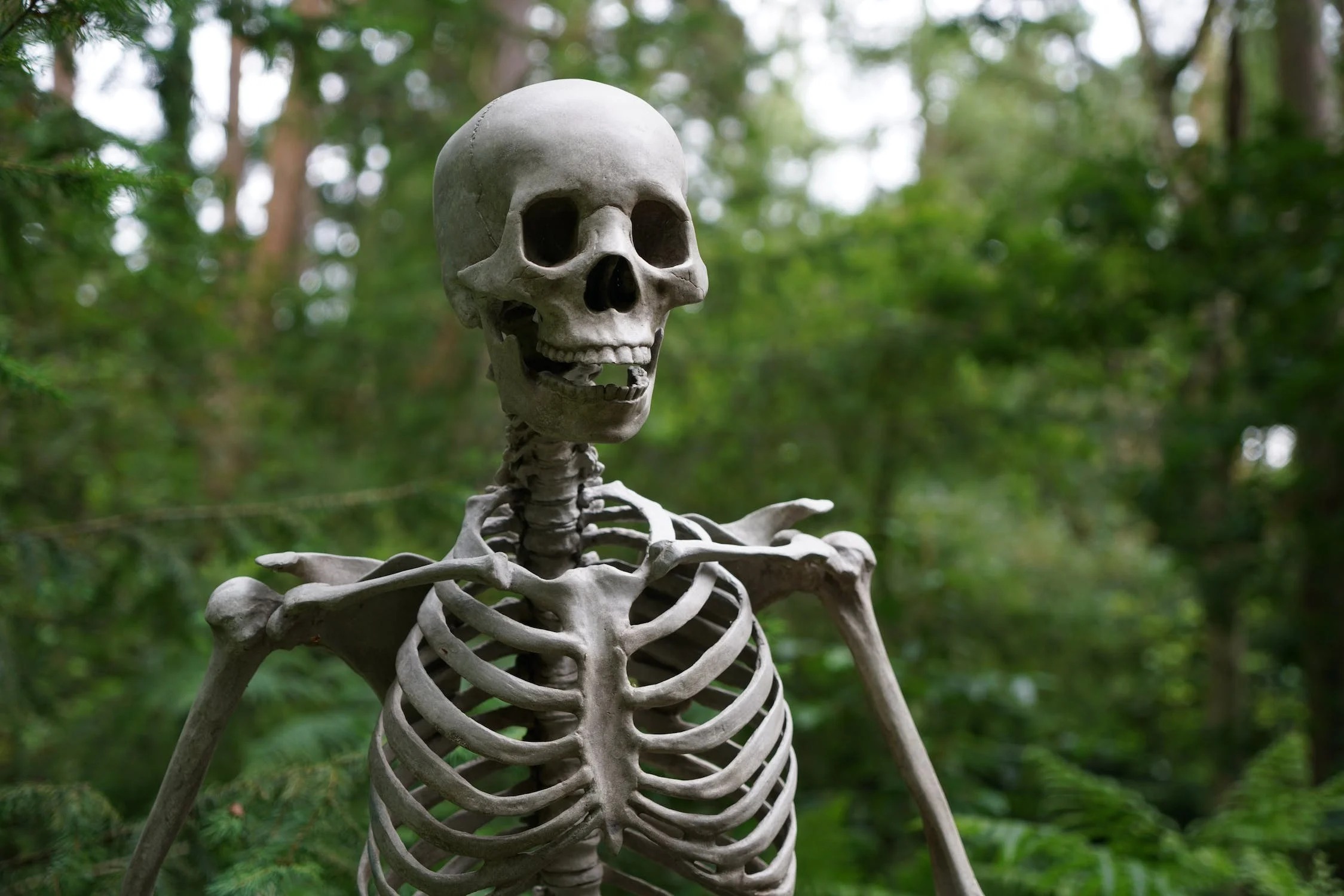 Skeleton Waiting Blank Meme Template