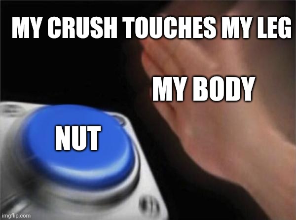 Blank Nut Button Meme | MY CRUSH TOUCHES MY LEG; MY BODY; NUT | image tagged in memes,blank nut button | made w/ Imgflip meme maker