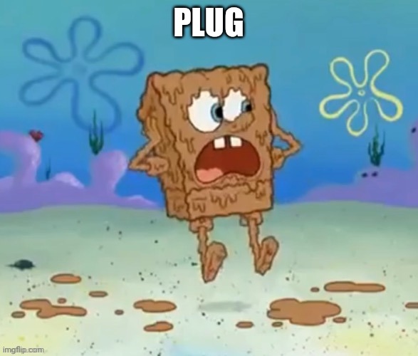 Shitbob | PLUG | image tagged in shitbob | made w/ Imgflip meme maker