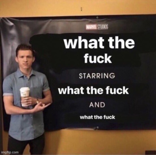 What the f**k starring what the f**k | image tagged in what the fuck starring what the fuck | made w/ Imgflip meme maker