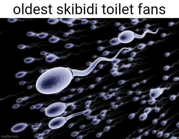 q | oldest skibidi toilet fans | image tagged in sperm swimming | made w/ Imgflip meme maker