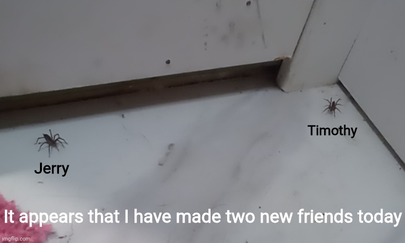Timothy likes to hang out in the corner | Timothy; Jerry; It appears that I have made two new friends today | image tagged in idk,stuff,s o u p,carck | made w/ Imgflip meme maker
