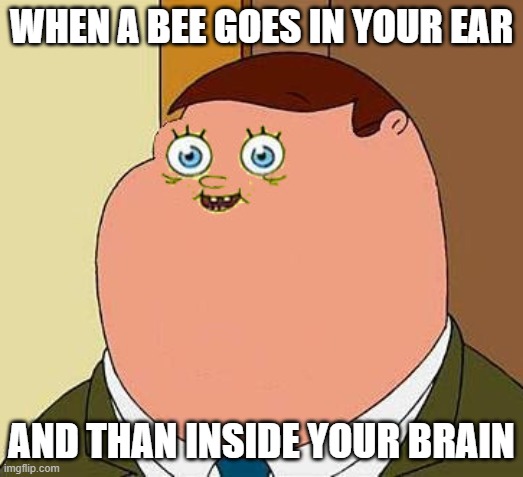 . | WHEN A BEE GOES IN YOUR EAR; AND THAN INSIDE YOUR BRAIN | image tagged in small face peter griffen,memes | made w/ Imgflip meme maker