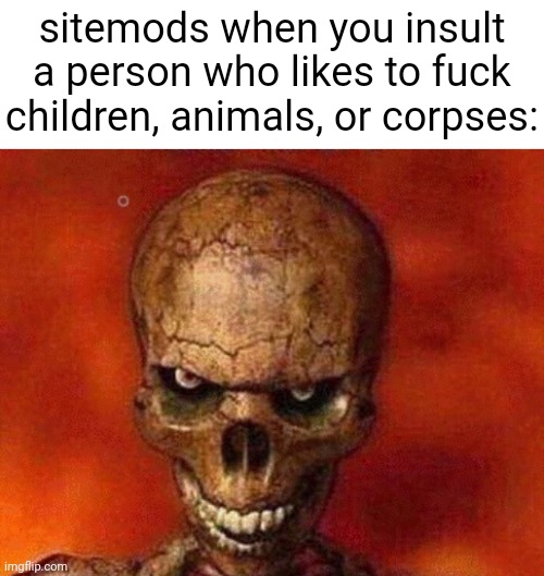 sketelon | sitemods when you insult a person who likes to fuck children, animals, or corpses: | image tagged in sketelon | made w/ Imgflip meme maker