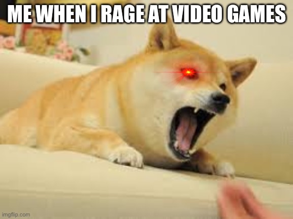 doge | ME WHEN I RAGE AT VIDEO GAMES | image tagged in doge | made w/ Imgflip meme maker