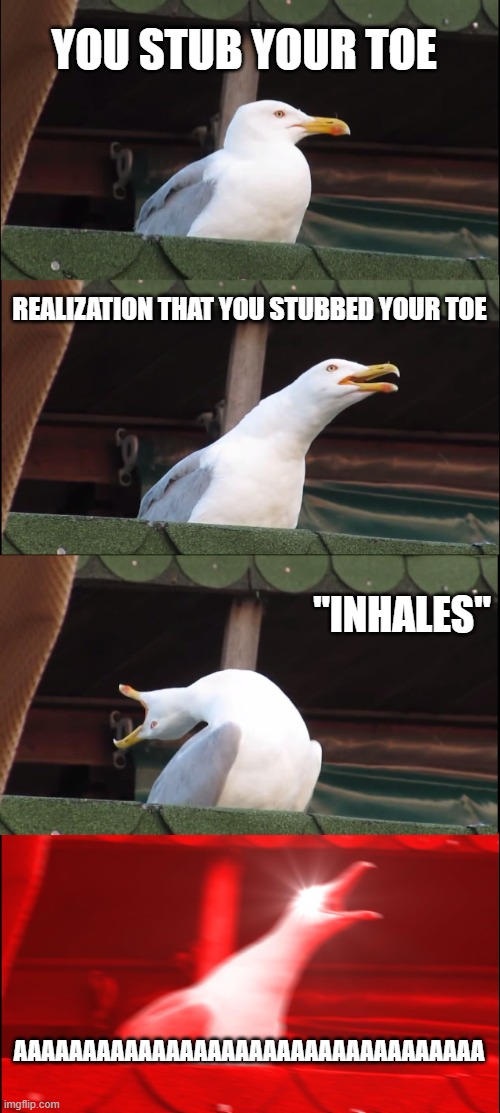 Inhaling Seagull Meme | YOU STUB YOUR TOE; REALIZATION THAT YOU STUBBED YOUR TOE; "INHALES"; AAAAAAAAAAAAAAAAAAAAAAAAAAAAAAAAAA | image tagged in memes,inhaling seagull | made w/ Imgflip meme maker