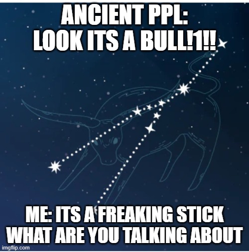 zodiac signs be like | ANCIENT PPL: LOOK ITS A BULL!1!! ME: ITS A FREAKING STICK WHAT ARE YOU TALKING ABOUT | image tagged in fun | made w/ Imgflip meme maker