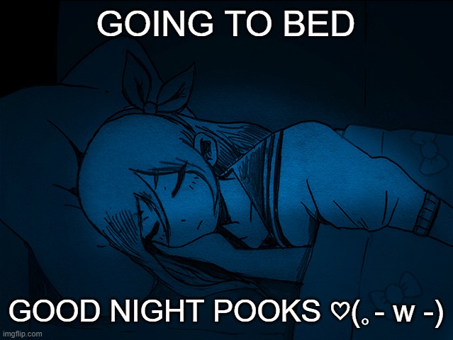 auby sleep | GOING TO BED; GOOD NIGHT POOKS ♡(｡- w -) | image tagged in auby sleep | made w/ Imgflip meme maker
