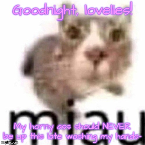Uh uh uhm uh | Goodnight, lovelies! My horny ass should NEVER be up this late washing my hands- | image tagged in miau,lovelies | made w/ Imgflip meme maker