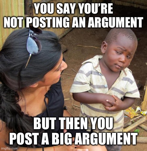 3rd World Sceptical Child | YOU SAY YOU’RE NOT POSTING AN ARGUMENT BUT THEN YOU POST A BIG ARGUMENT | image tagged in 3rd world sceptical child | made w/ Imgflip meme maker