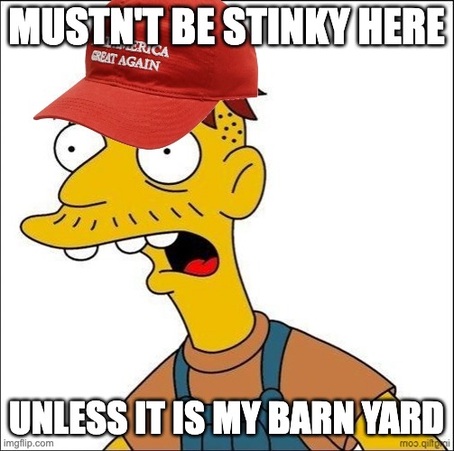 Some Kind Of MAGA Moron | MUSTN'T BE STINKY HERE UNLESS IT IS MY BARN YARD | image tagged in some kind of maga moron | made w/ Imgflip meme maker