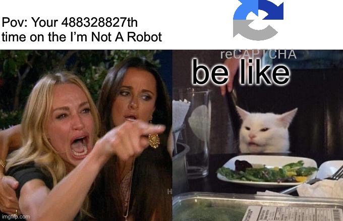 Woman Yelling At Cat | Pov: Your 488328827th time on the I’m Not A Robot; be like | image tagged in memes,woman yelling at cat,two women yelling at a cat | made w/ Imgflip meme maker