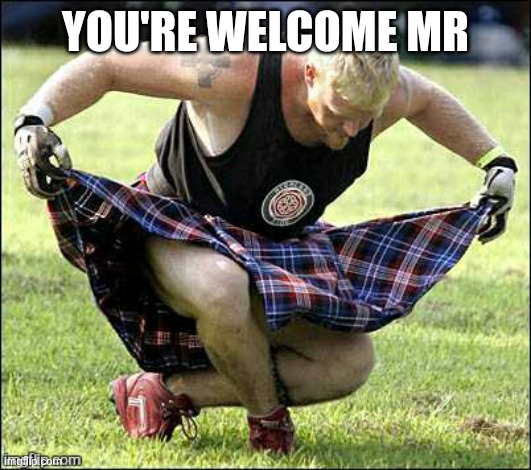 Bow | YOU'RE WELCOME MR | image tagged in bow | made w/ Imgflip meme maker