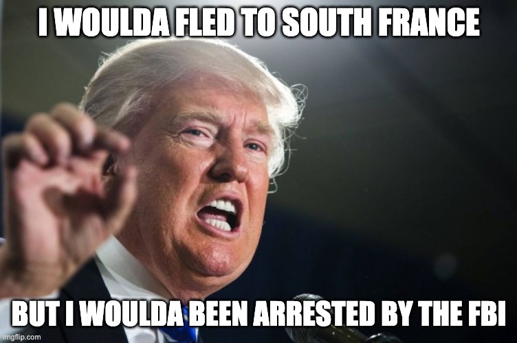 donald trump | I WOULDA FLED TO SOUTH FRANCE BUT I WOULDA BEEN ARRESTED BY THE FBI | image tagged in donald trump | made w/ Imgflip meme maker