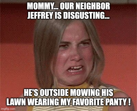 The real Brady Bunch... | MOMMY... OUR NEIGHBOR JEFFREY IS DISGUSTING... HE'S OUTSIDE MOWING HIS LAWN WEARING MY FAVORITE PANTY ! | image tagged in marcia brady stank face | made w/ Imgflip meme maker