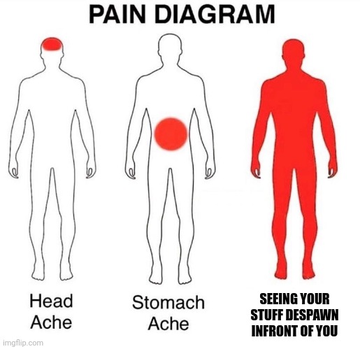 If only I had 3 more seconds!!! | SEEING YOUR STUFF DESPAWN INFRONT OF YOU | image tagged in pain diagram,minecraft | made w/ Imgflip meme maker
