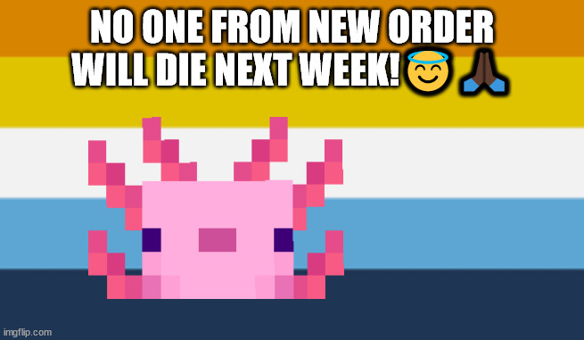 no one from pet shop boys will die tomorrow | NO ONE FROM NEW ORDER
WILL DIE NEXT WEEK!😇🙏🏿 | image tagged in please angel protect neil tenant and grace jones | made w/ Imgflip meme maker