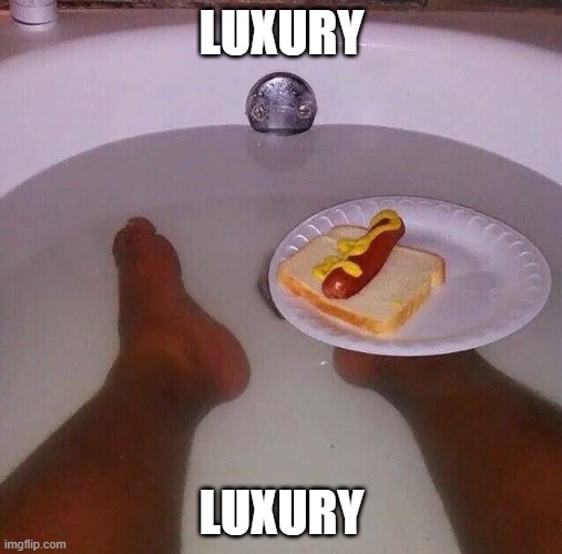 . | LUXURY; LUXURY | image tagged in funny,memes,luxury,cursed | made w/ Imgflip meme maker