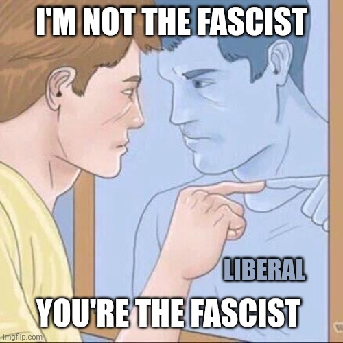 Pointing mirror guy | I'M NOT THE FASCIST YOU'RE THE FASCIST LIBERAL | image tagged in pointing mirror guy | made w/ Imgflip meme maker