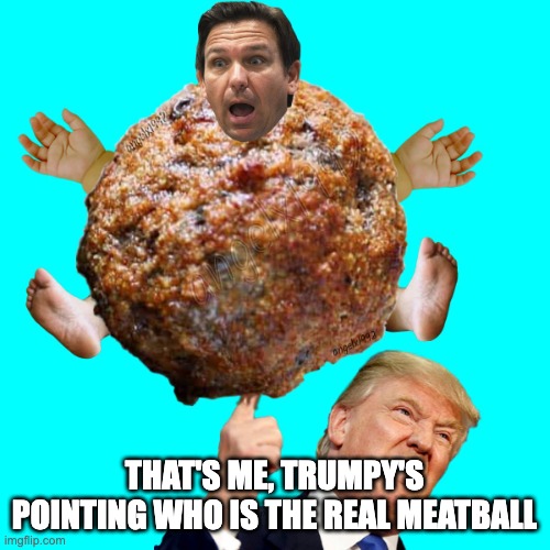meatball | THAT'S ME, TRUMPY'S POINTING WHO IS THE REAL MEATBALL | image tagged in meatball | made w/ Imgflip meme maker