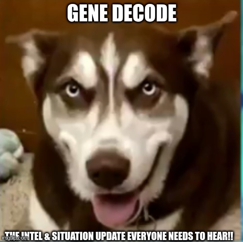 Gene Decode: The Intel & Situation Update Everyone Needs to Hear!! (Video) 