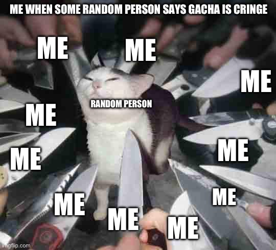 do not ever say gacha life/club is cringe | ME WHEN SOME RANDOM PERSON SAYS GACHA IS CRINGE; ME; ME; ME; ME; RANDOM PERSON; ME; ME; ME; ME; ME; ME | image tagged in knife cat | made w/ Imgflip meme maker